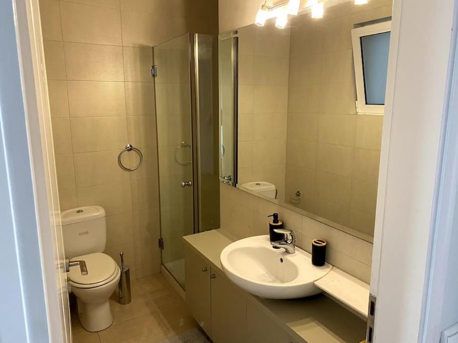 Spacious And Sunkissed 3Br & 2 Bathrooms Apartment 아테네 외부 사진