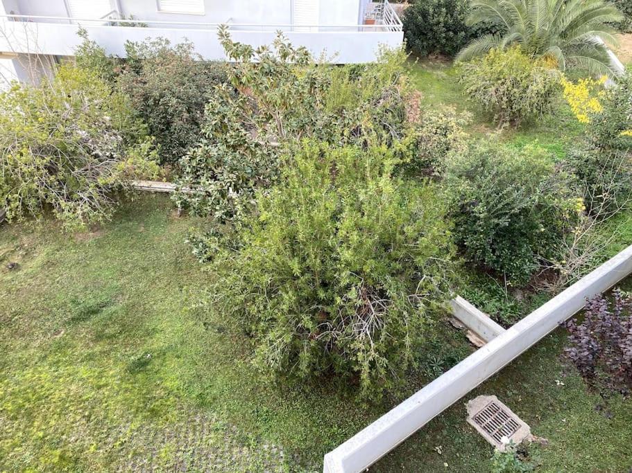 Spacious And Sunkissed 3Br & 2 Bathrooms Apartment 아테네 외부 사진